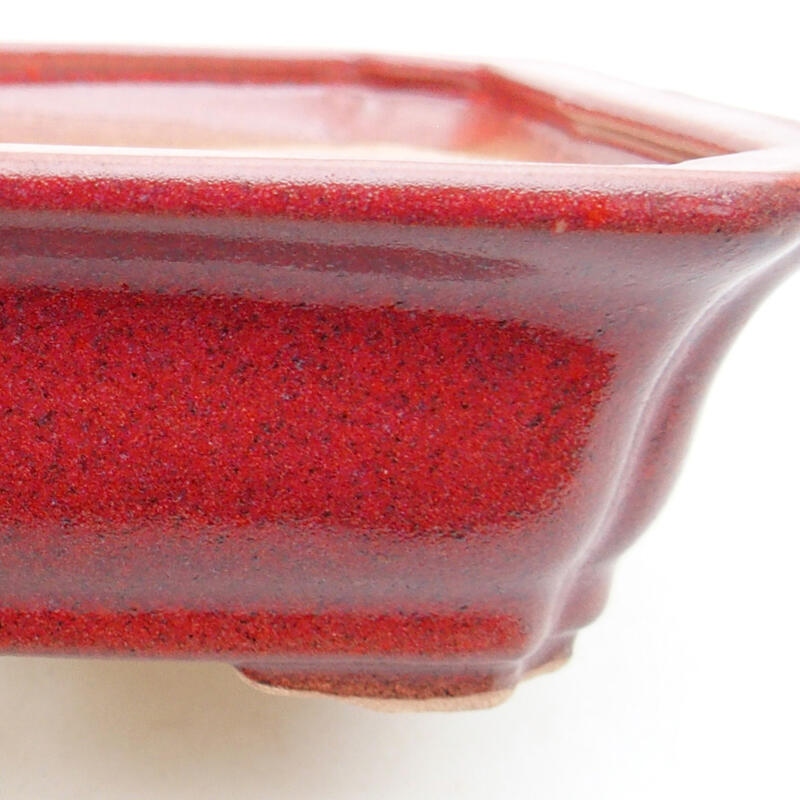 Bol à bonsaï en céramique 12,5 x 10 x 4 cm, couleur bordeaux