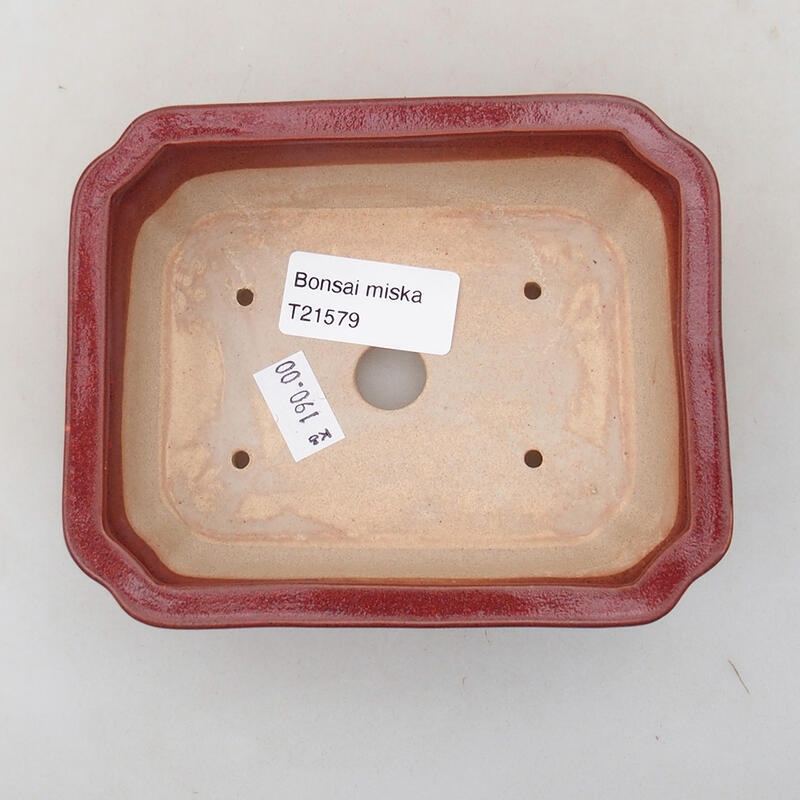 Bol à bonsaï en céramique 12,5 x 10 x 4 cm, couleur bordeaux