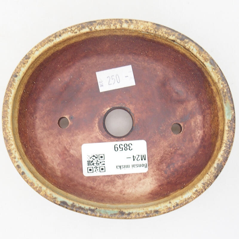 Bol à bonsaï en céramique 12,5 x 10 x 4 cm, vert