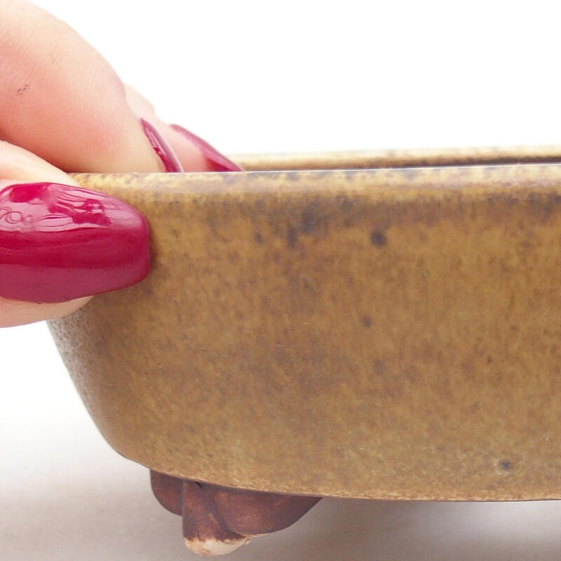 Bol à bonsaï en céramique 12,5 x 10 x 4 cm, vert