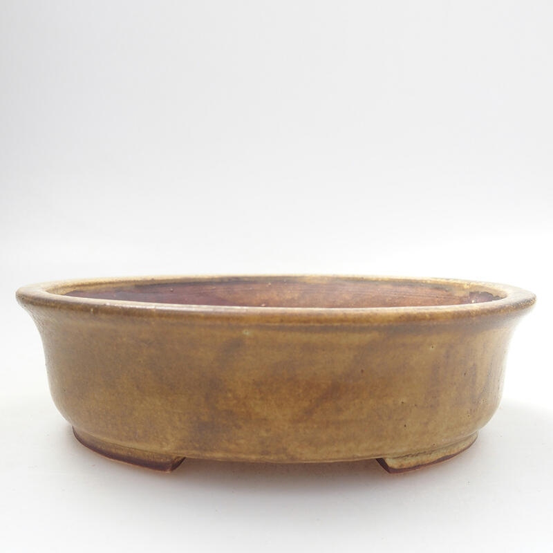 Bol à bonsaï en céramique 12,5 x 12 x 3,5 cm, brun