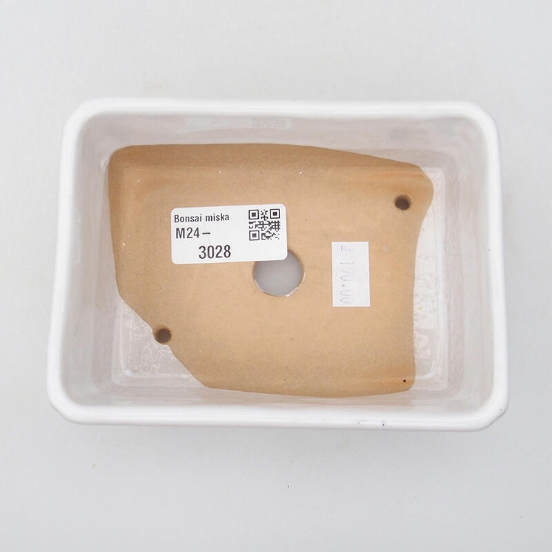 Bol à bonsaï en céramique 12,5 x 9,5 x 4,5 cm, couleur blanc