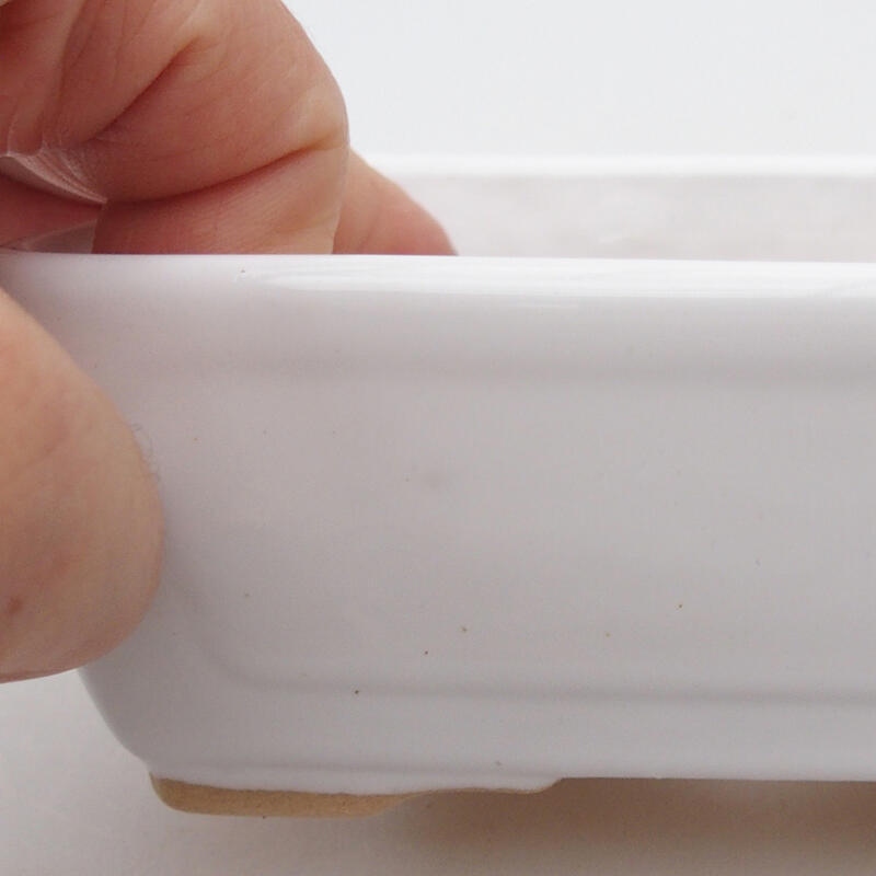 Bol à bonsaï en céramique 12,5 x 9,5 x 4,5 cm, couleur blanc