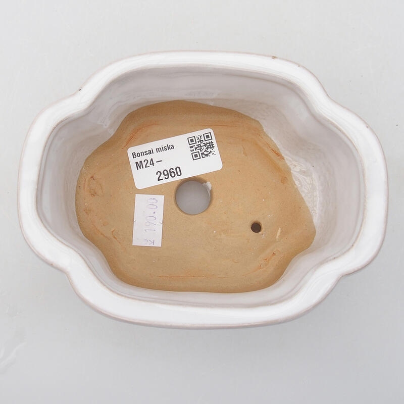 Bol à bonsaï en céramique 12,5 x 9,5 x 5 cm, vert