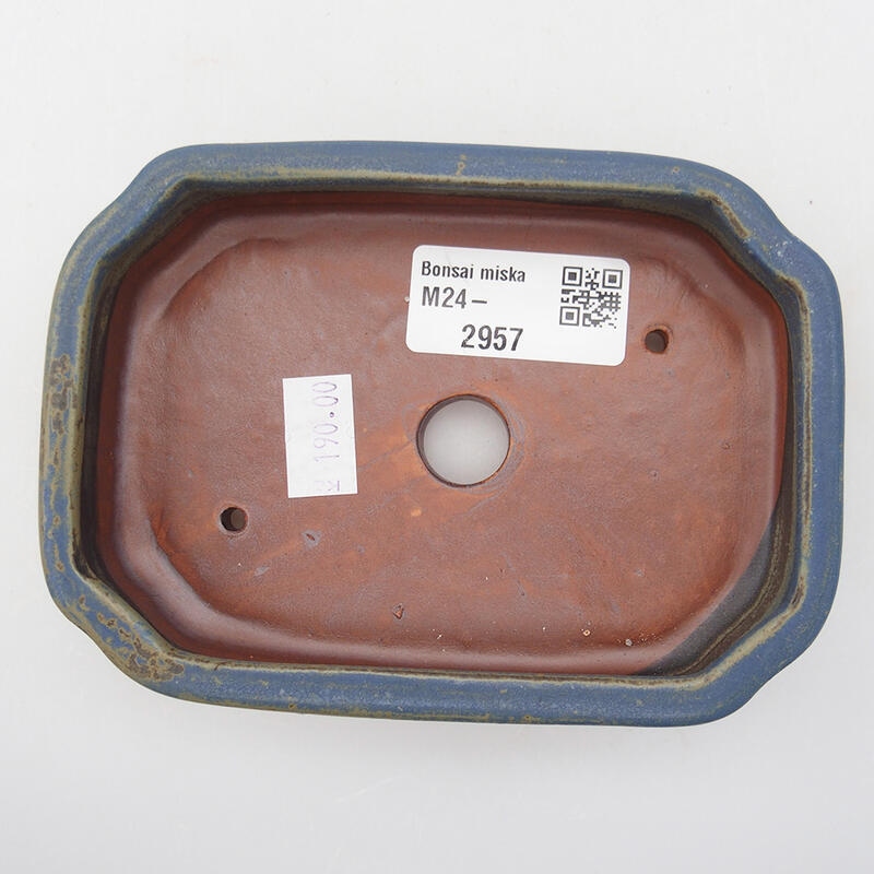 Bol à bonsaï en céramique 12,5 x 9 x 2,5 cm, couleur bleu