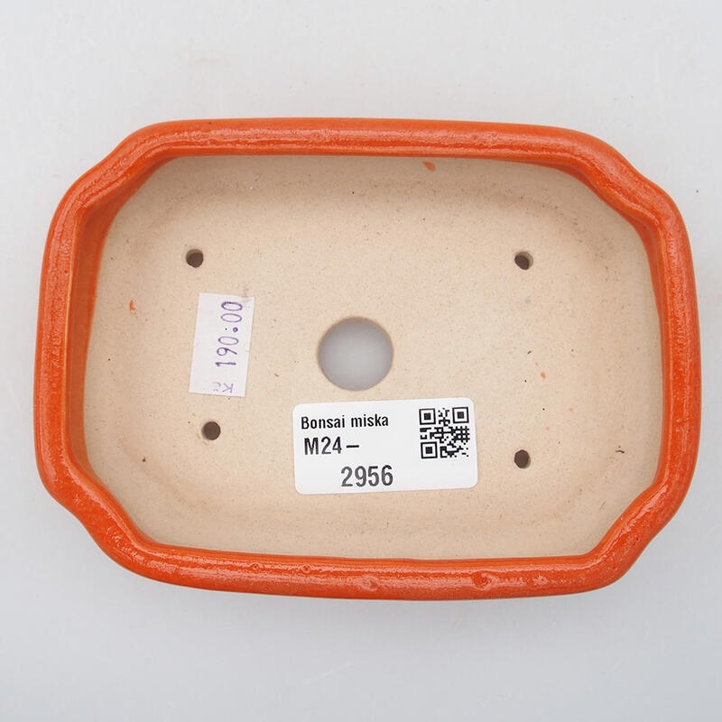 Bol à bonsaï en céramique 12,5 x 9 x 2,5 cm, orange