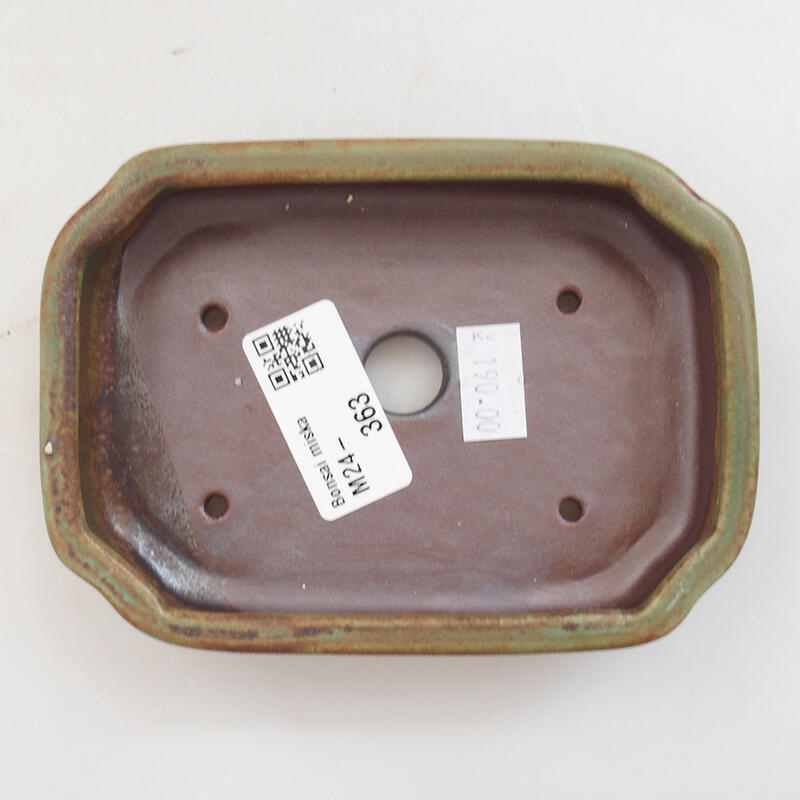 Bol à bonsaï en céramique 12,5 x 9 x 3 cm, vert