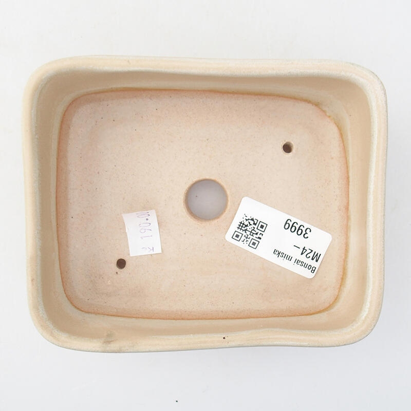 Bol à bonsaï en céramique 12 x 10 x 4 cm, couleur beige