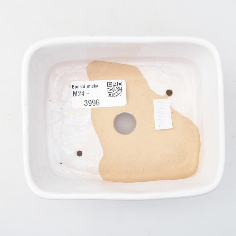 Bol à bonsaï en céramique 12 x 10 x 4 cm, couleur blanc