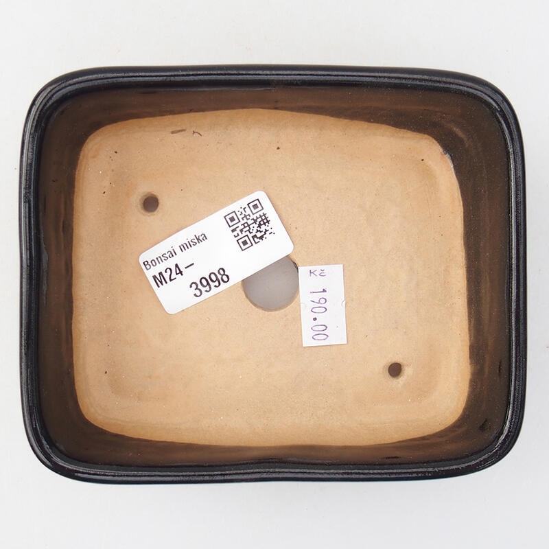 Bol à bonsaï en céramique 12 x 10 x 4 cm, noir