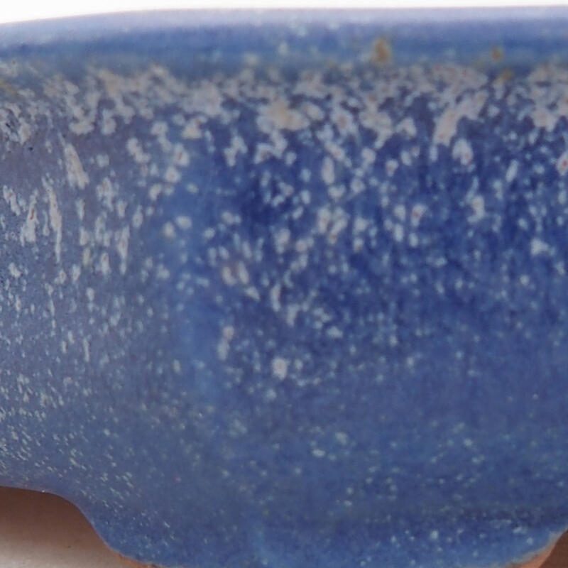 Bol à bonsaï en céramique 12 x 12 x 2,5 cm, couleur bleu