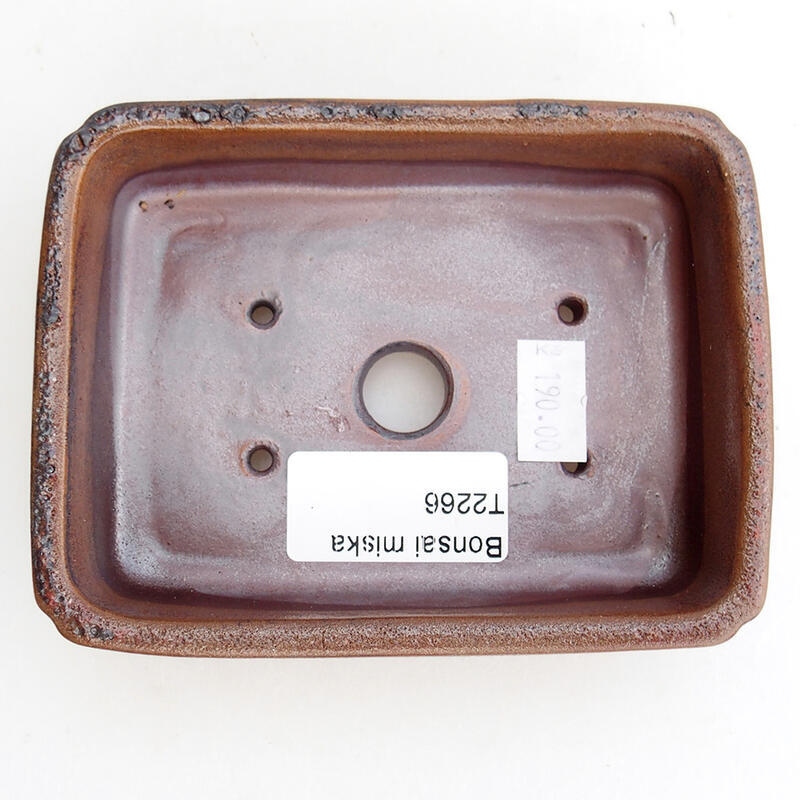 Bol à bonsaï en céramique 12 x 9 x 3,5 cm, brun