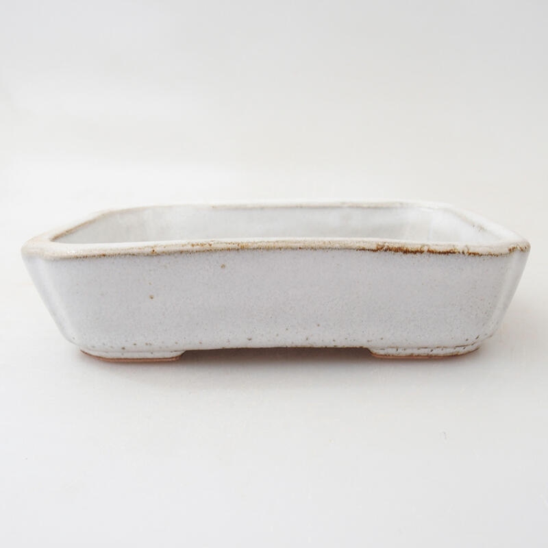 Bol à bonsaï en céramique 12 x 9 x 3 cm, blanc