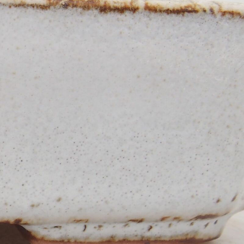 Bol à bonsaï en céramique 12 x 9 x 3 cm, blanc