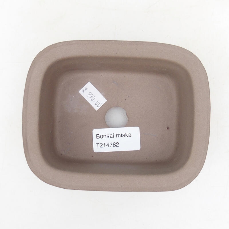 Bol à bonsaï en céramique 13,5 x 11 x 5,5 cm, couleur noire