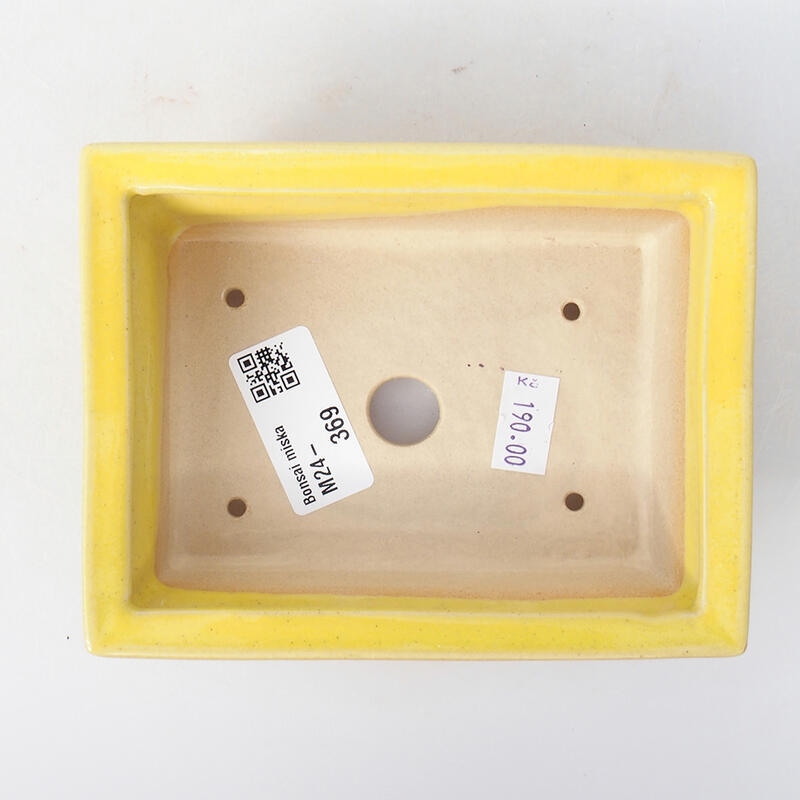 Bol à bonsaï en céramique 13 x 10 x 3,5 cm, jaune