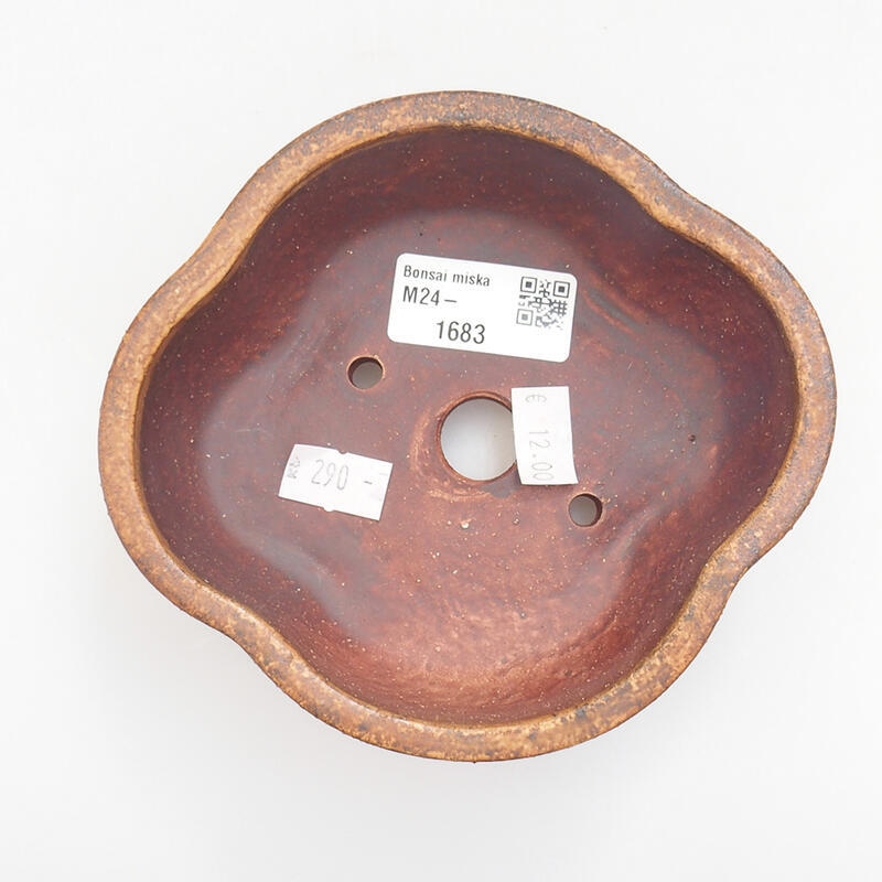 Bol à bonsaï en céramique 13 x 12 x 5 cm, orange