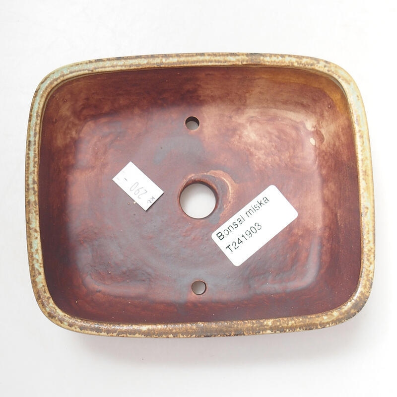 Bol à bonsaï en céramique 14,5 x 12 x 4 cm, vert