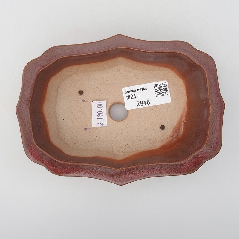 Bol à bonsaï en céramique 14 x 10 x 4 cm, rose