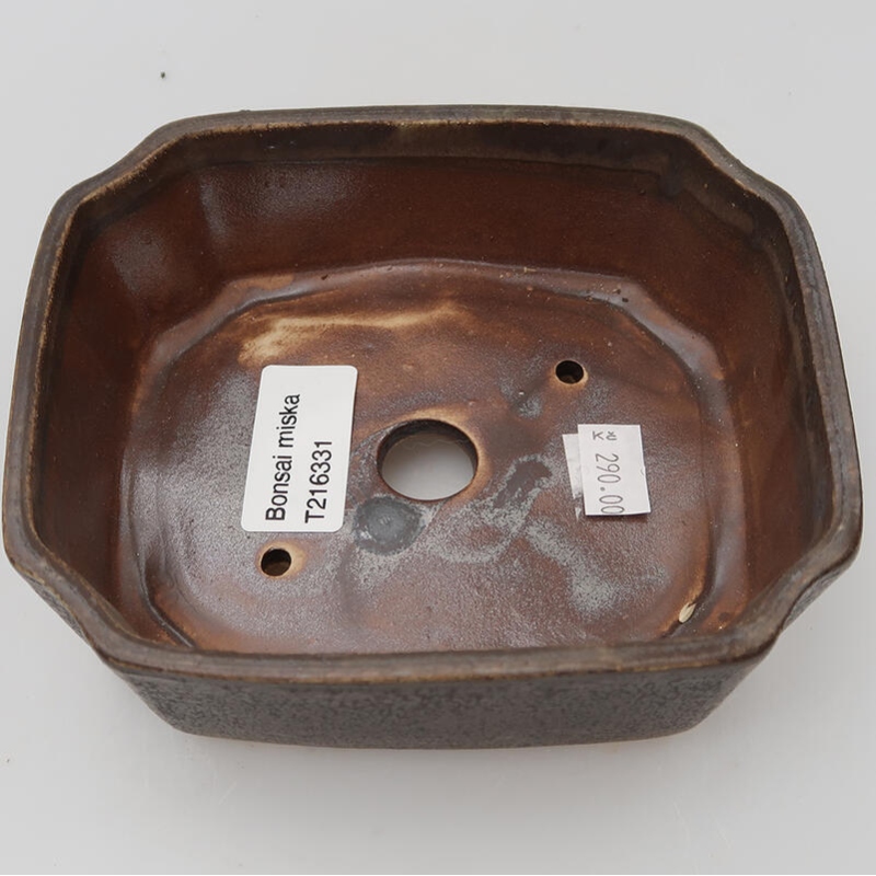 Bol à bonsaï en céramique 14 x 11,5 x 4,5 cm, brun