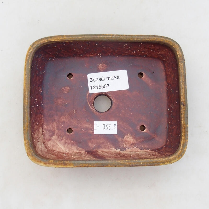 Bol à bonsaï en céramique 14 x 11 x 4 cm, brun