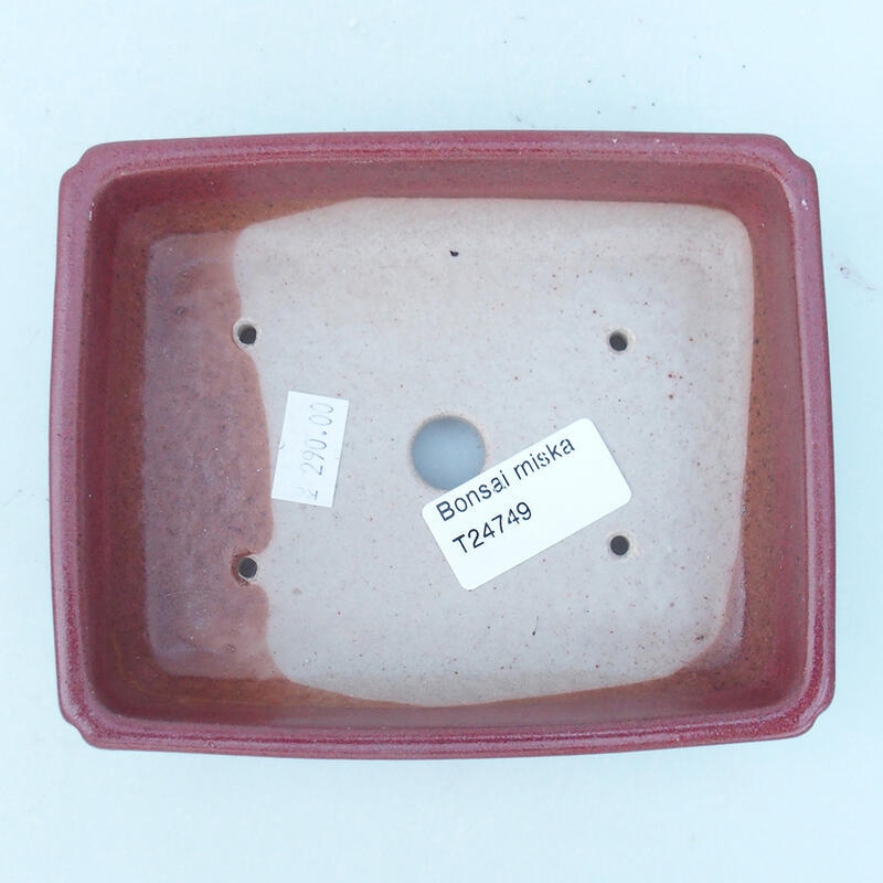 Bol à bonsaï en céramique 14 x 11 x 4 cm, rose