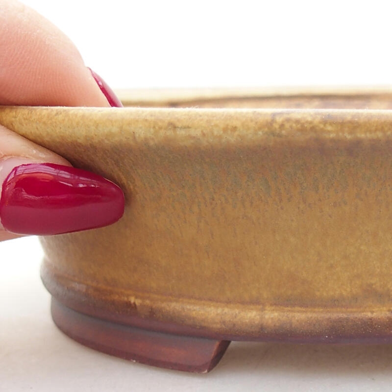 Bol à bonsaï en céramique 14 x 12,5 x 4 cm, vert