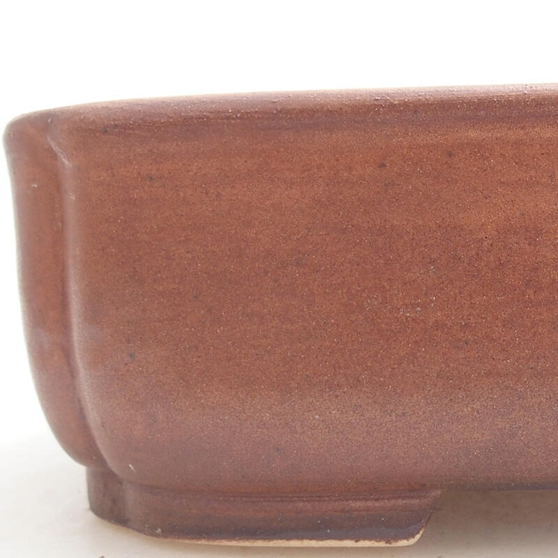 Bol à bonsaï en céramique 14 x 12 x 4 cm, brun