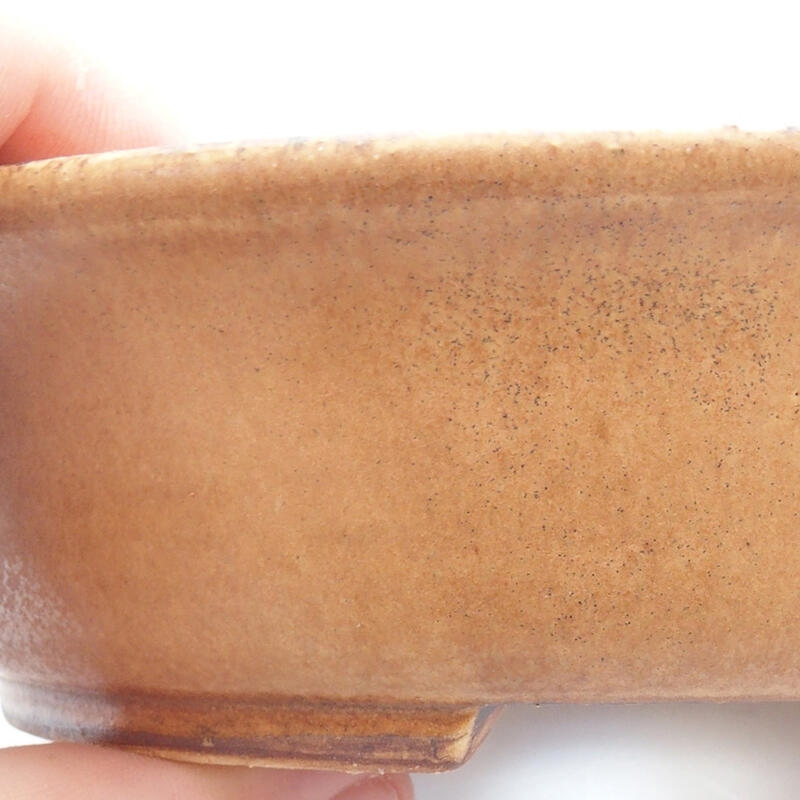 Bol à bonsaï en céramique 14 x 13 x 4 cm, orange