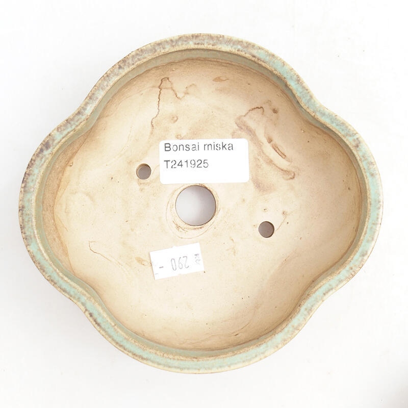 Bol à bonsaï en céramique 14 x 13 x 5 cm, vert