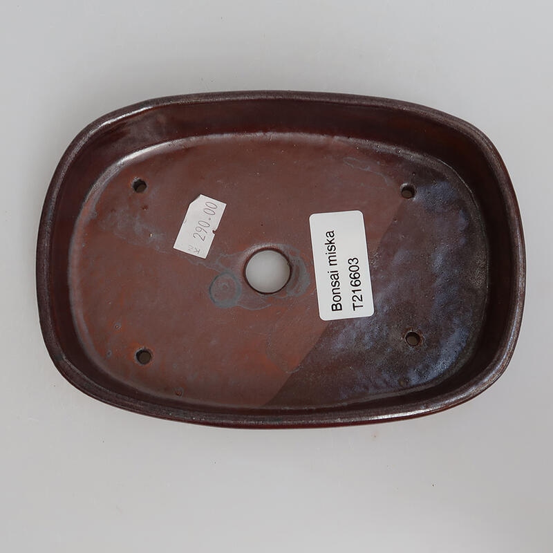 Bol à bonsaï en céramique 15,5 x 11 x 3 cm, brun