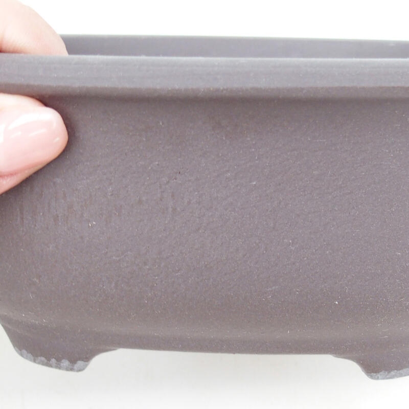 Bol à bonsaï en céramique 15,5 x 12,5 x 7 cm, couleur noire