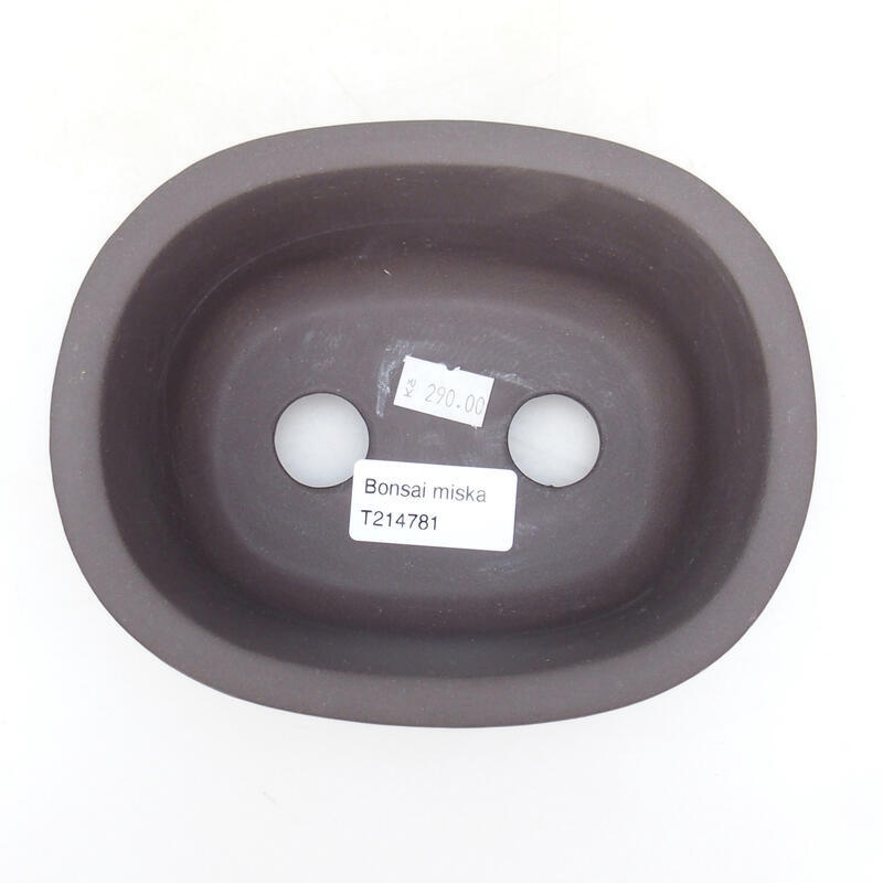 Bol à bonsaï en céramique 15,5 x 12,5 x 7 cm, couleur noire