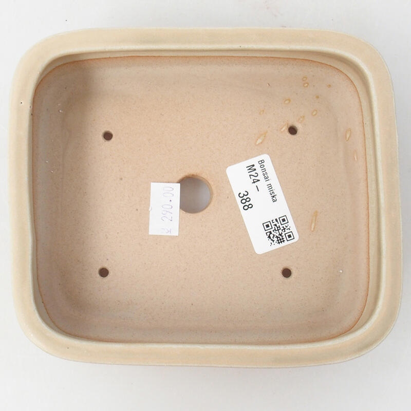 Bol à bonsaï en céramique 15 x 12,5 x 4,5 cm, couleur beige