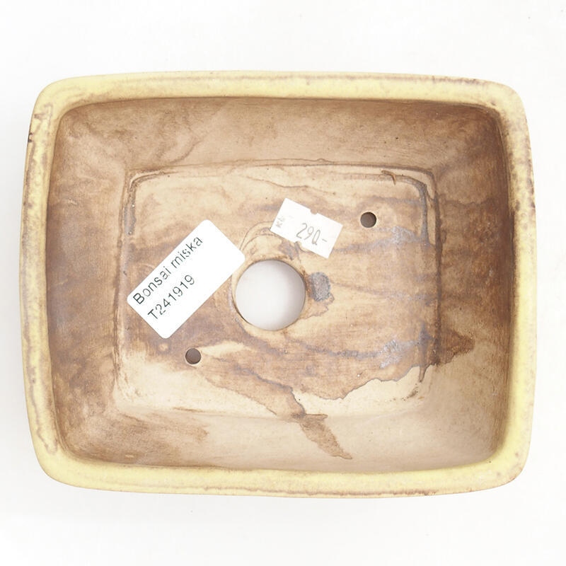 Bol à bonsaï en céramique 15 x 12,5 x 5,5 cm, vert