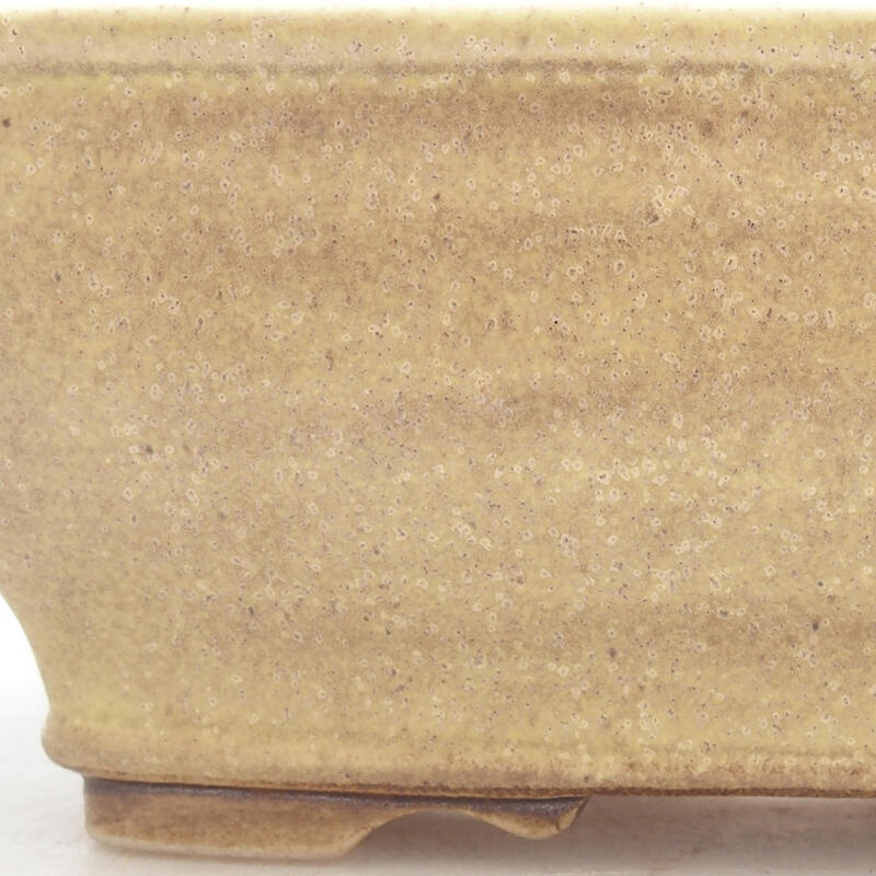 Bol à bonsaï en céramique 15 x 12,5 x 5,5 cm, vert