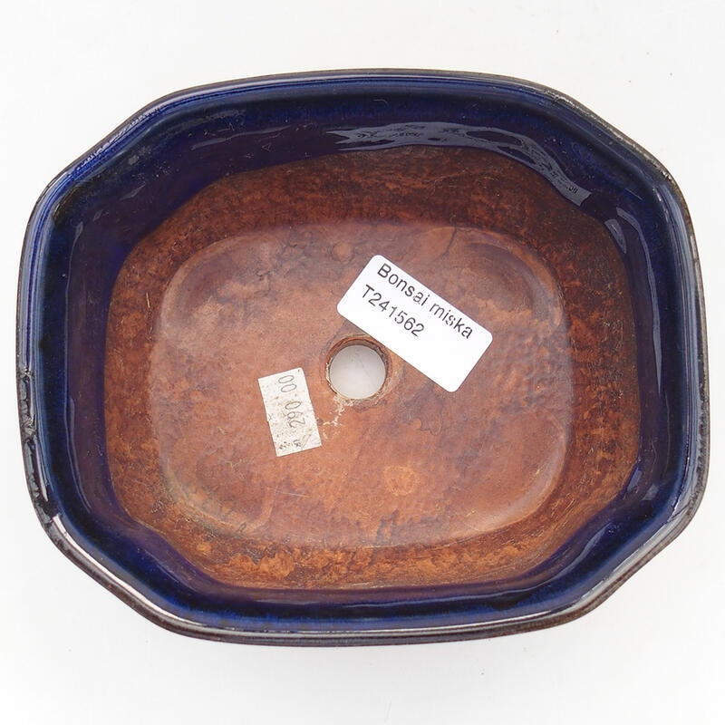 Bol à bonsaï en céramique 15 x 12,5 x 6,5 cm, couleur bleu