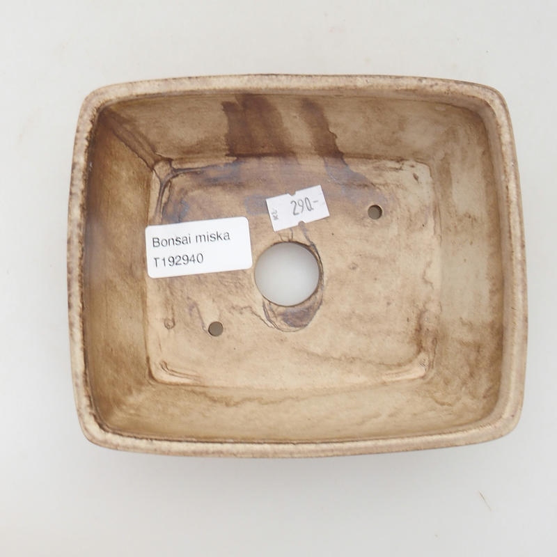 Bol à bonsaï en céramique 15 x 12 x 5 cm, beige-brun