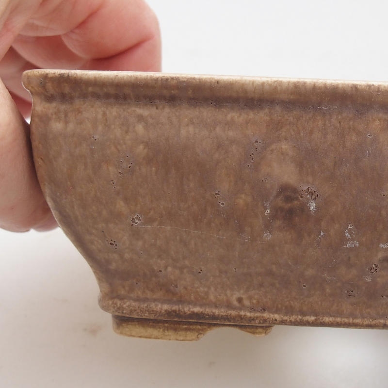 Bol à bonsaï en céramique 15 x 12 x 5 cm, beige-brun