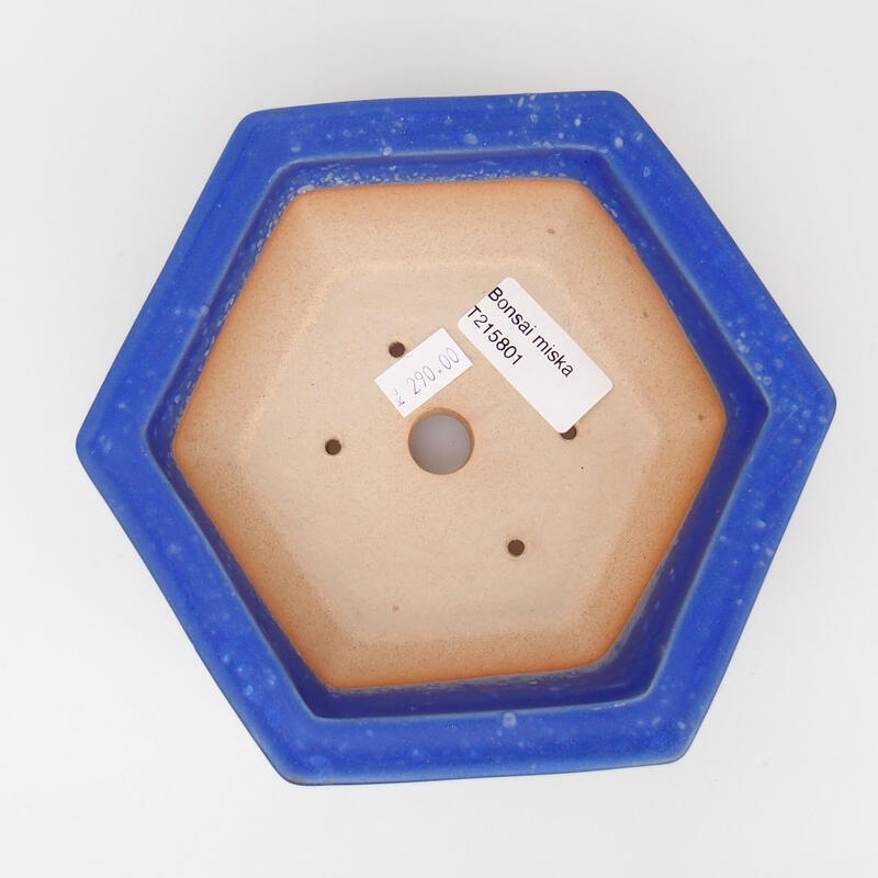 Bol à bonsaï en céramique 15 x 14 x 5,5 cm, couleur bleu