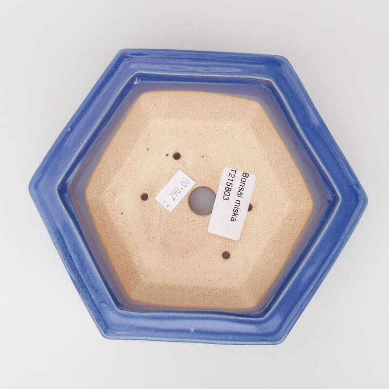 Bol à bonsaï en céramique 15 x 14 x 5,5 cm, couleur bleu