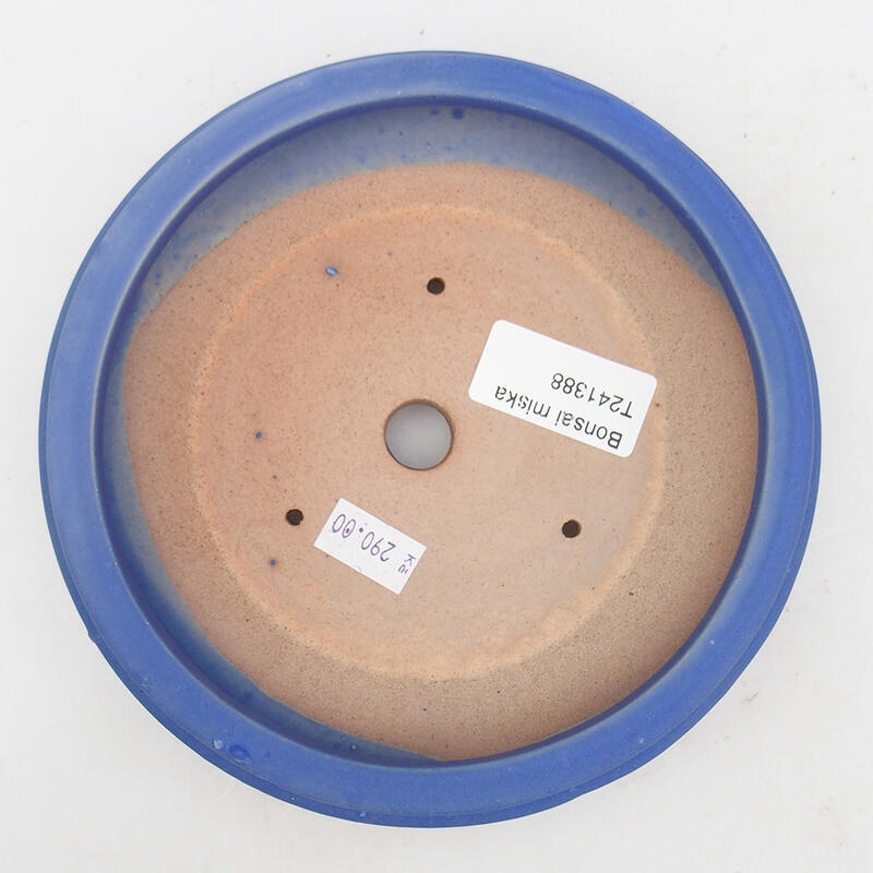 Bol à bonsaï en céramique 16,5 x 16,5 x 4,5 cm, couleur bleu