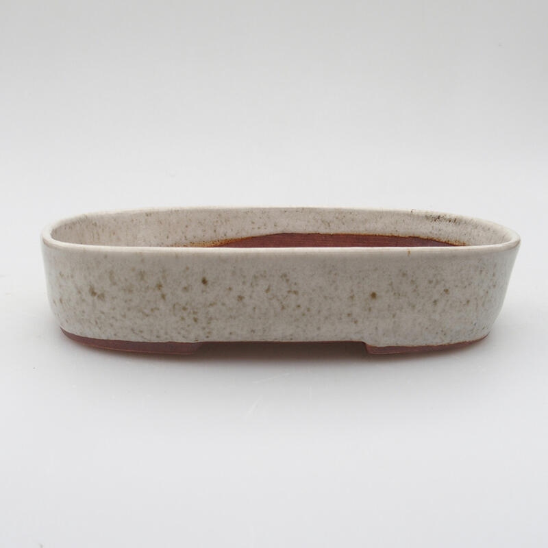 Bol à bonsaï en céramique 16 x 11 x 3 cm, couleur beige