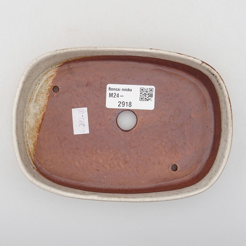Bol à bonsaï en céramique 16 x 11 x 3 cm, couleur beige