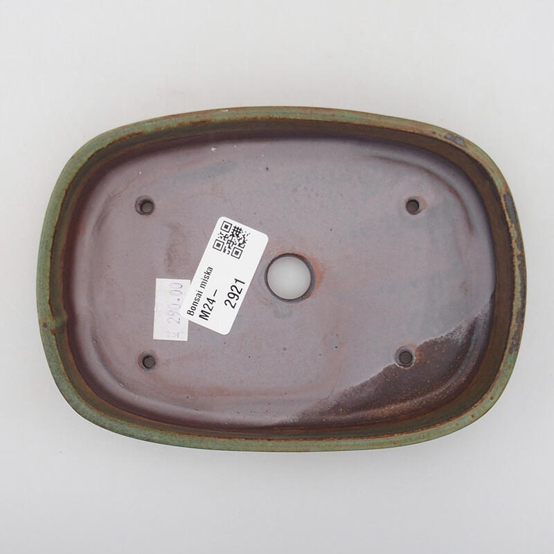 Bol à bonsaï en céramique 16 x 11 x 3 cm, vert