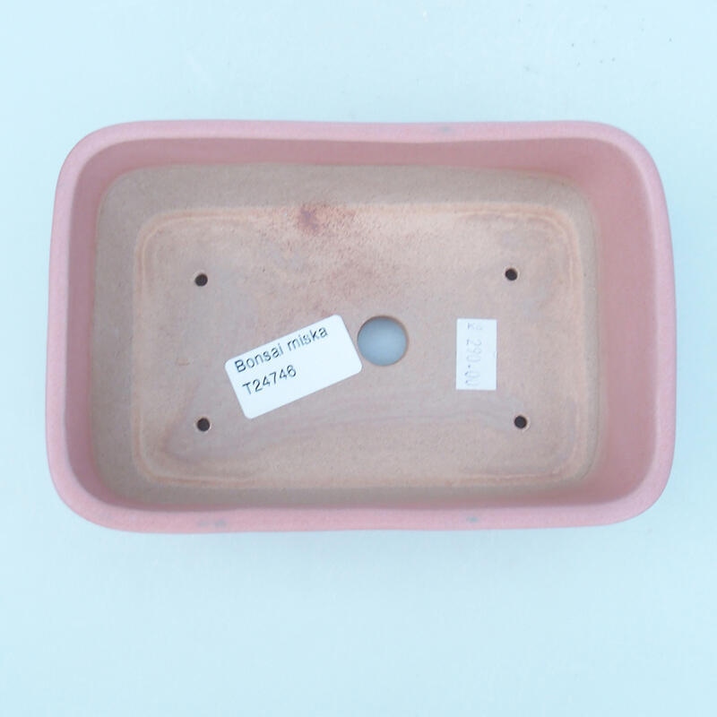 Bol à bonsaï en céramique 16 x 11 x 5,5 cm, rose