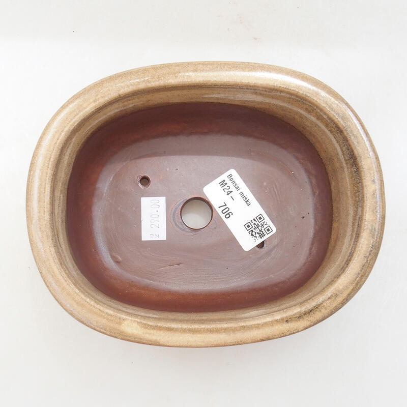 Bol à bonsaï en céramique 16 x 12,5 x 6 cm, couleur beige