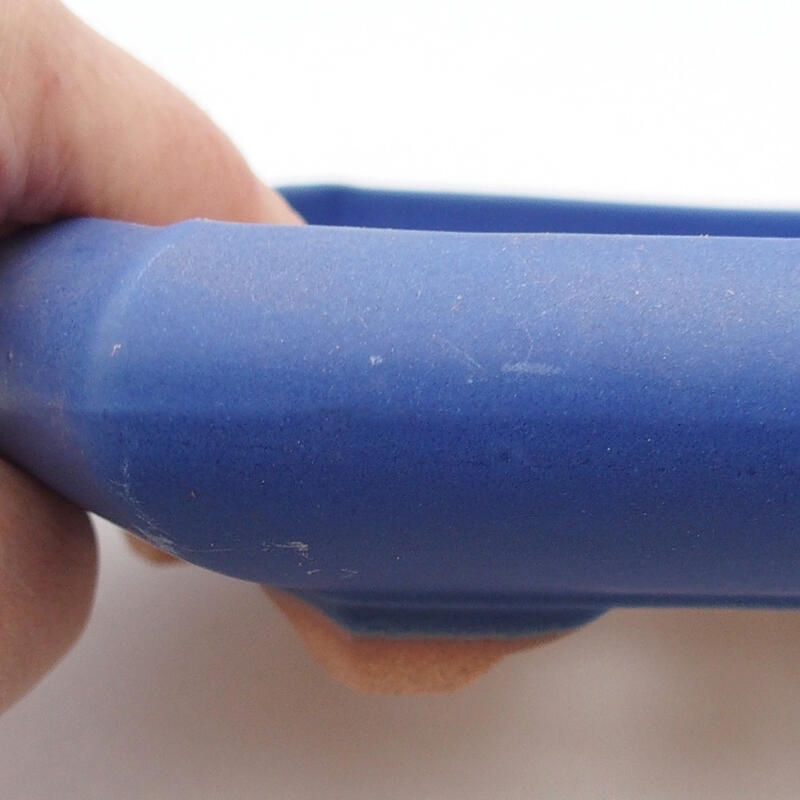 Bol à bonsaï en céramique 16 x 14 x 3 cm, couleur bleu