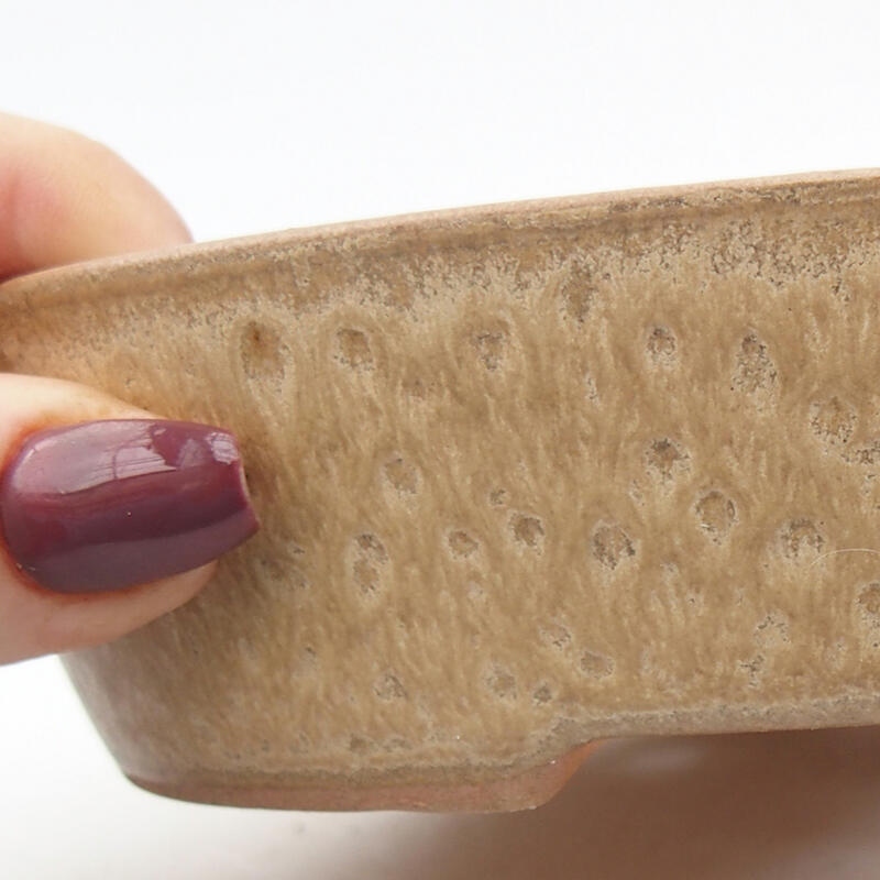 Bol à bonsaï en céramique 17,5 x 14 x 4 cm, couleur beige