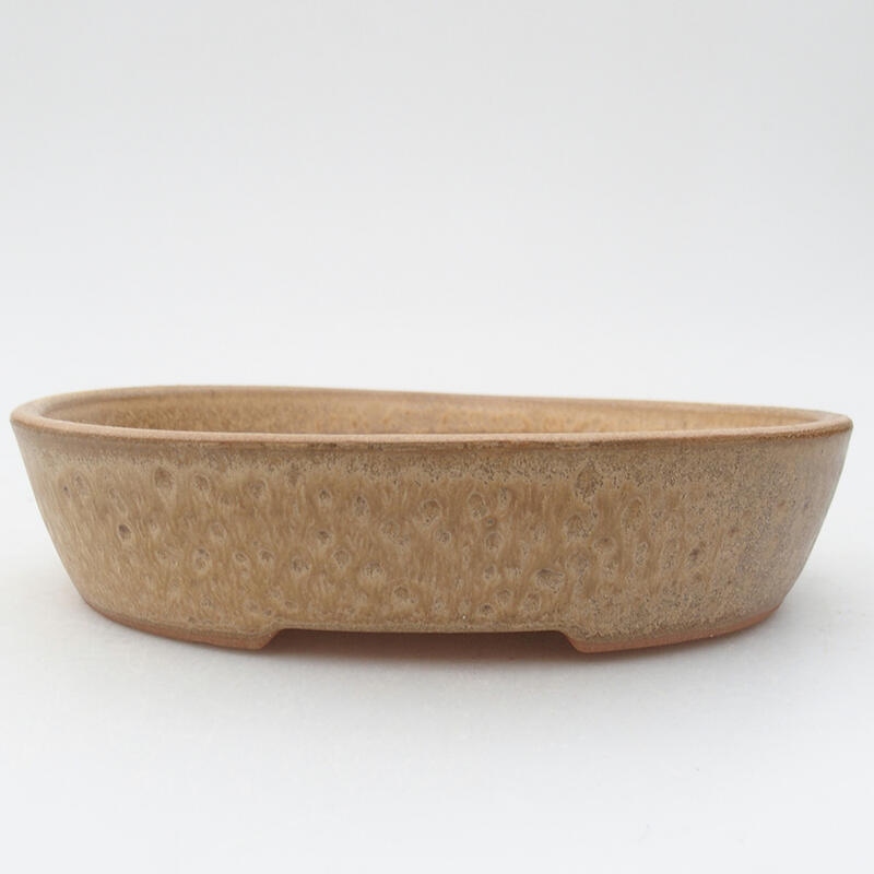 Bol à bonsaï en céramique 17,5 x 14 x 4 cm, couleur beige